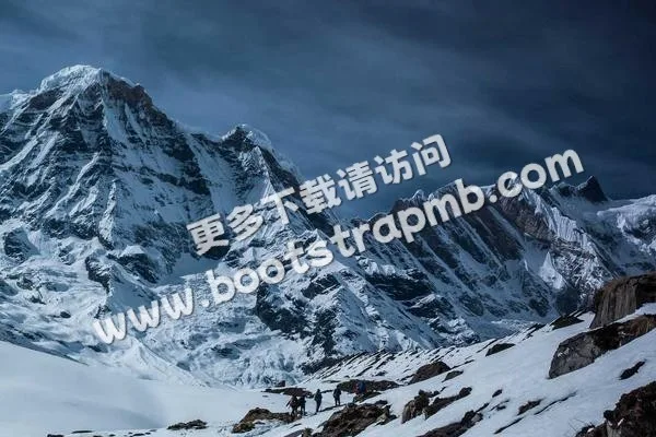⊞ Portfolio - 雷竞技